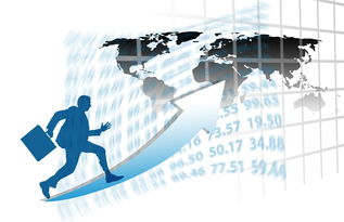 乐鱼体育下载app官网-中国篮球职业联赛赛事运营管理优化研究，中国篮球竞赛体系