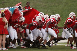 乐鱼体育在线登录-全国青少年皮划艇竞速赛在杭州顺利举行，青少年皮划艇夏令营活动